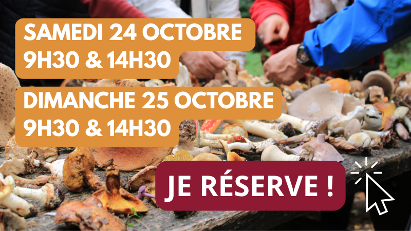 Réservation en ligne sorties mycologiques Réservation en ligne sorties mycologiques