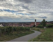 Grand Cru Steinert Pfaffenheim