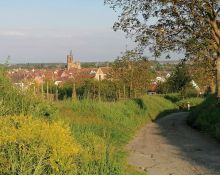 Grand Cru Vorbourg Rouffach